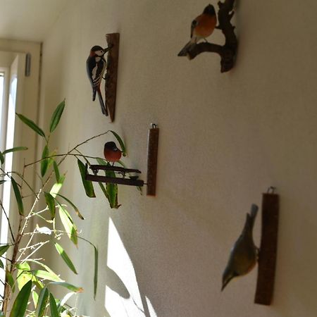 B&B Convivium Stazzema 外观 照片
